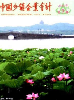 中国乡镇企业会计