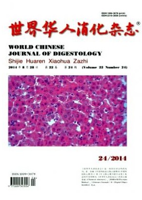 世界华人消化