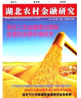 湖北农村金融研究