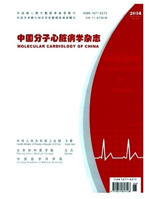 中国分子心脏病学