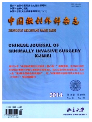 中国微创外科