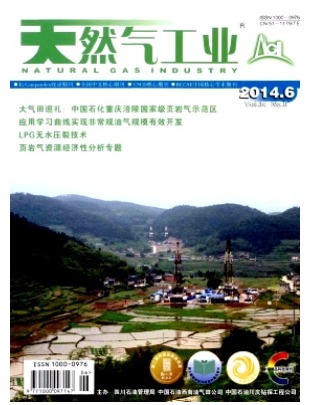 天然气工业