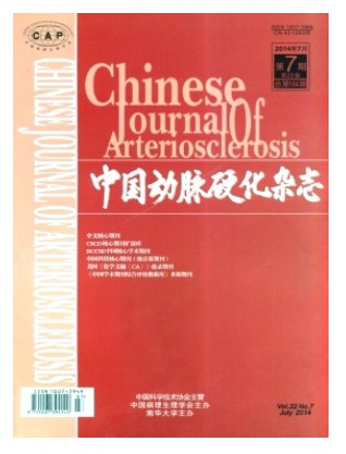 中国动脉硬化