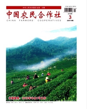 中国农民合作社