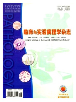 临床与实验病理学