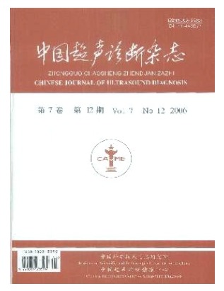 中国超声诊断
