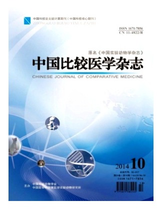 中国比较医学