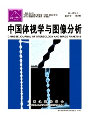 中国体视学与图像分析