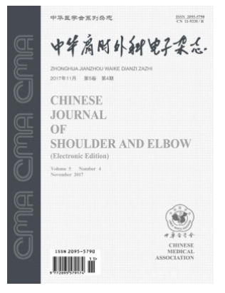中华肩肘外科电子