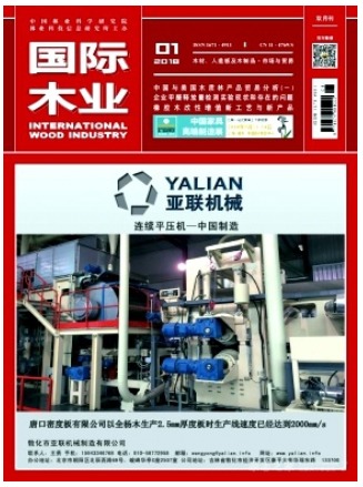 国际木业