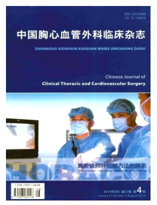 中国胸心血管外科临床