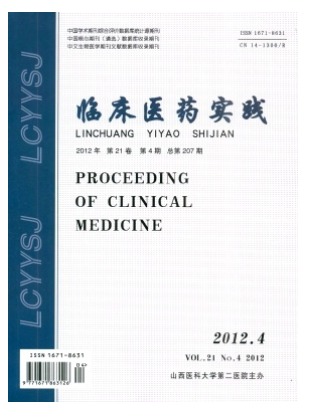 临床医药实践