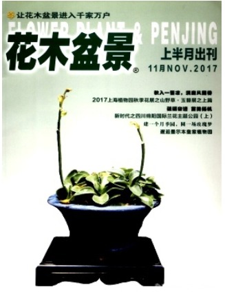 花木盆景
