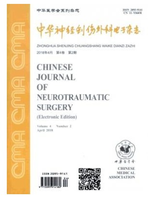 中华神经创伤外科电子
