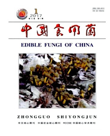 中国食用菌