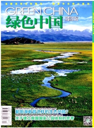 绿色中国