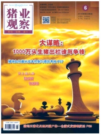 猪业观察