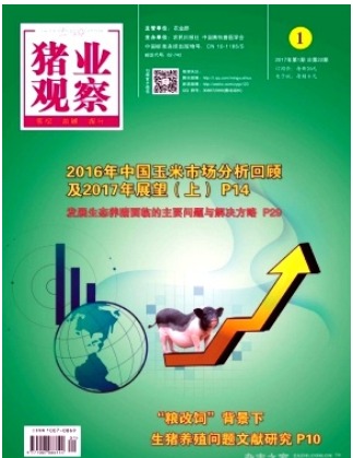 猪业观察