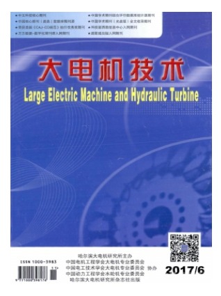 大电机技术