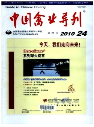 中国禽业导刊