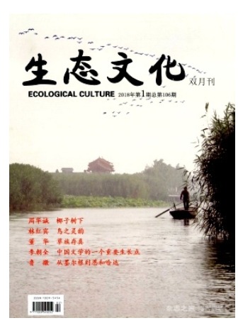 生态文化