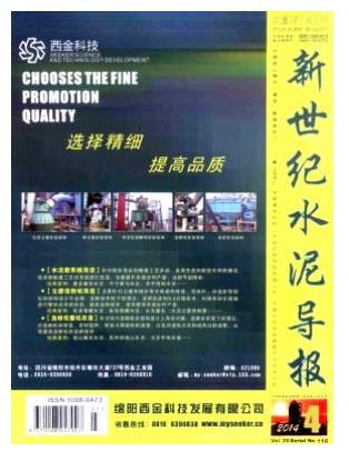 新世纪水泥导报