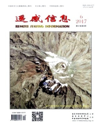遥感信息