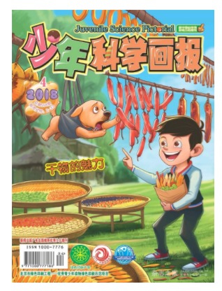 少年科学画报