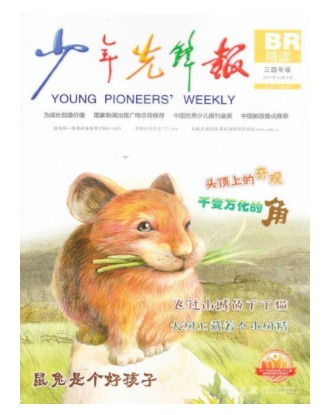 少年先锋报