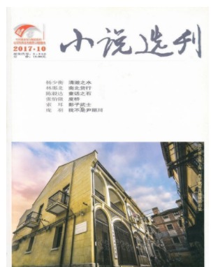 小说选刊
