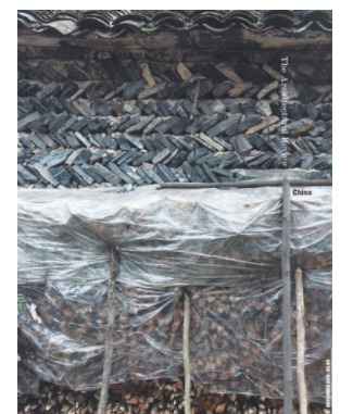 Architectural Review建筑评论