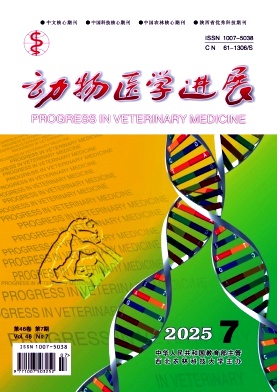 动物医学进展