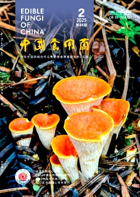 中国食用菌