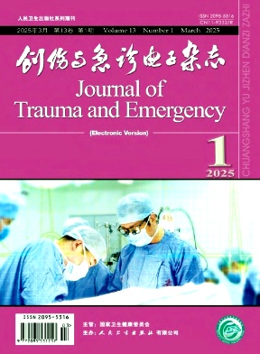 创伤与急诊电子