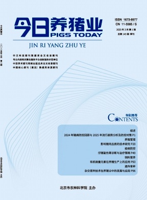 今日养猪业