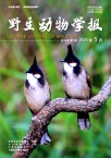 野生动物学报