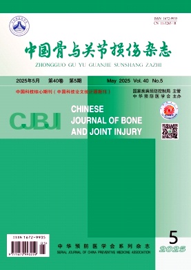 中国骨与关节损伤