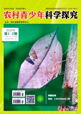 农村青少年科学探究