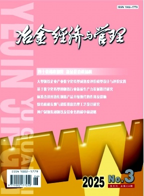 冶金经济与管理