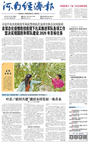 河南经济报