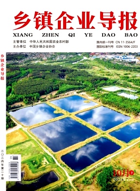  《乡镇企业导报》